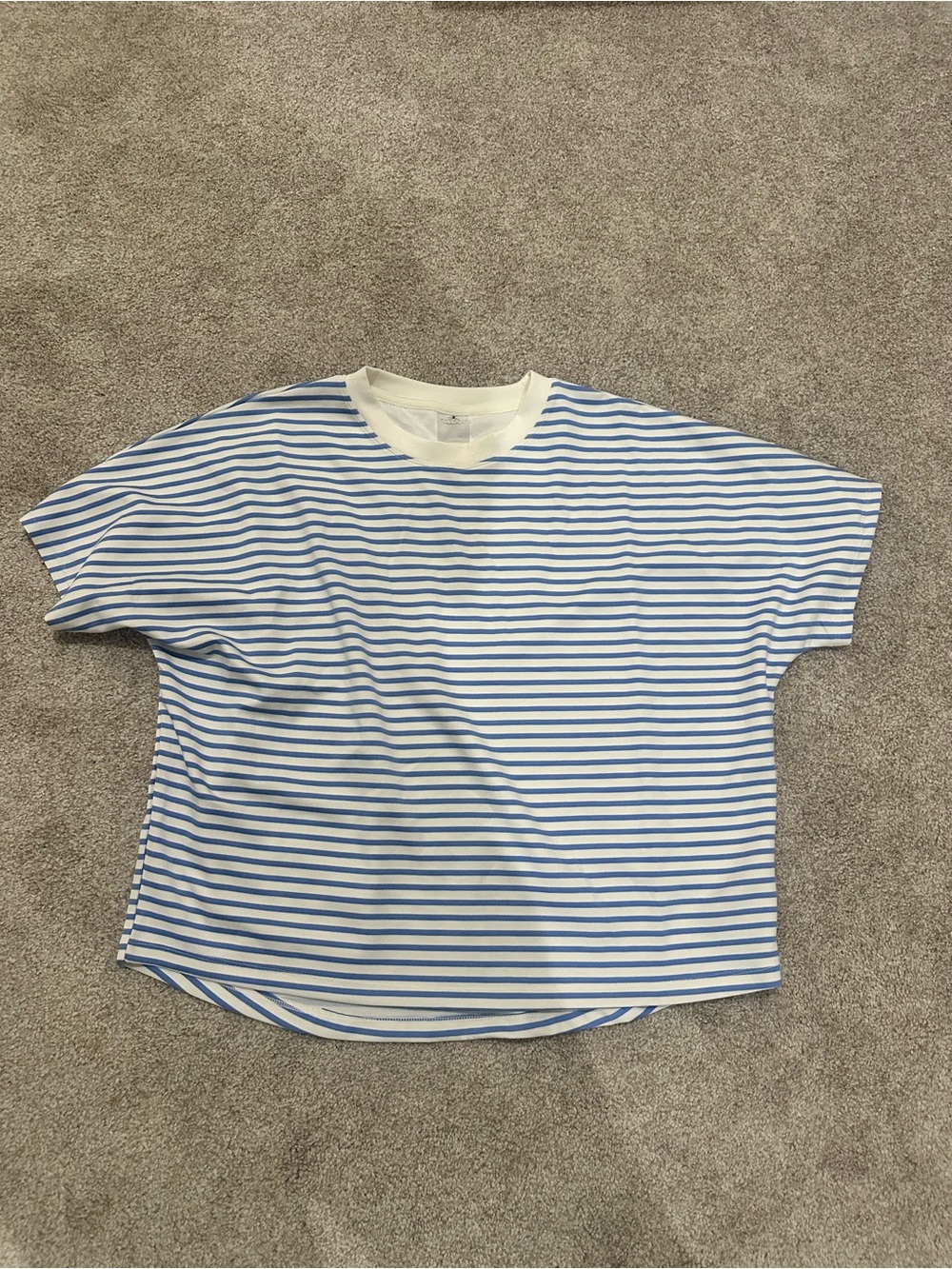 Danskin White and Light Blue Striped Crew Tee